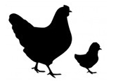 Livestock%20Icon%20Chicken