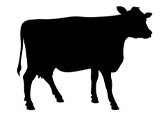 Livestock%20Icons%20Cow
