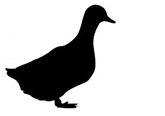 Livestock%20Icons%20Duck