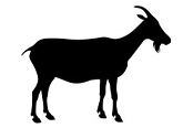 Livestock%20Icons%20Goat
