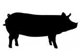 Livestock%20Icons%20Pig