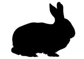 Livestock%20Icons%20Rabbit