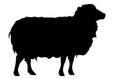 Livestock%20Icons%20Sheep