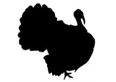 Livestock%20Icons%20Turkey